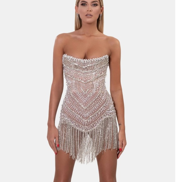 albina dyla Dresses & Skirts - RARE Albina Dyla Silver Corset beaded Dress